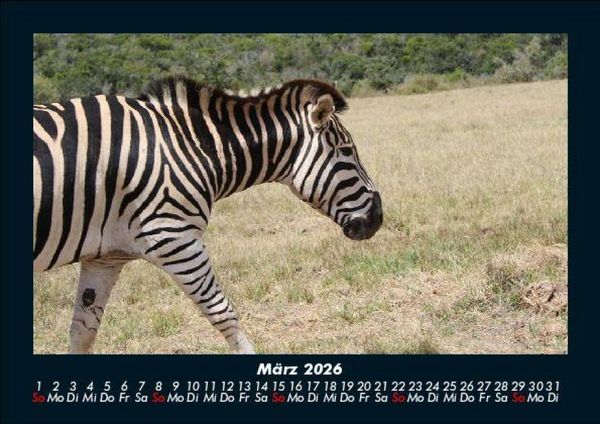 Produktbild: Der Tierkalender 2026 Fotokalender DIN A5