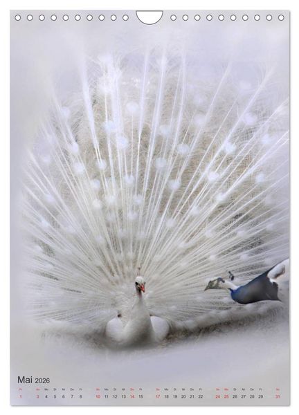 Produktbild: Tiere in Wei&szlig; (Wandkalender 2026 DIN A4 hoch), CALVENDO Monatskalender