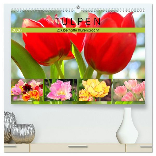 Produktbild: Tulpen. Zauberhafte Bl&uuml;tenpracht (hochwertiger Premium Wandkalender 2026 DIN A2 quer), Kunstdruck in Hochglanz