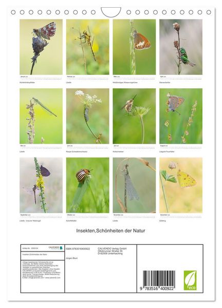 Produktbild: Insekten,Sch&ouml;nheiten der Natur (Wandkalender 2026 DIN A4 hoch), CALVENDO Monatskalender