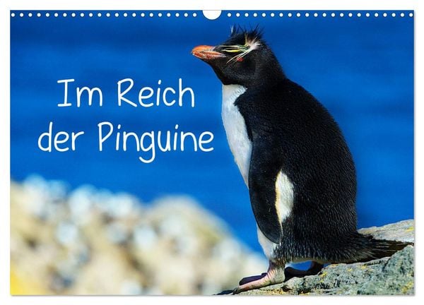 Produktbild: Im Reich der Pinguine (Wandkalender 2026 DIN A3 quer), CALVENDO Monatskalender