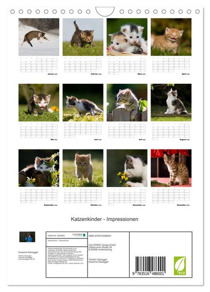 Produktbild: Katzenkinder - Impressionen (Wandkalender 2026 DIN A4 hoch), CALVENDO Monatskalender