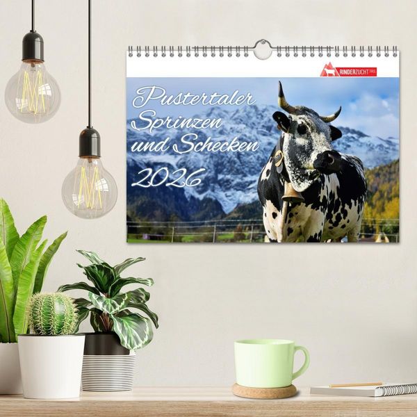 Produktbild: Pustertaler Sprinzen und Schecken 2026 (Wandkalender 2026 DIN A4 quer), CALVENDO Monatskalender