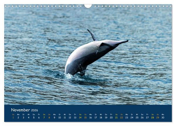 Produktbild: Faszinierende Tierwelt von Mauritius - Magische Momente der Natur (Wandkalender 2026 DIN A3 quer), CALVENDO Monatskalender