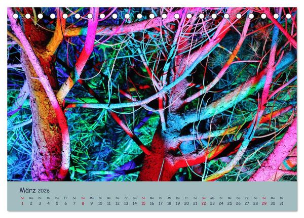 Produktbild: Leuchtfarben (Tischkalender 2026 DIN A5 quer), CALVENDO Monatskalender