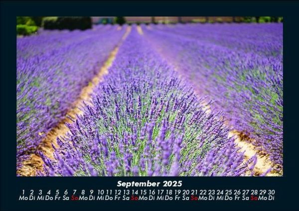 Produktbild: Blumenzauber 2025 Fotokalender DIN A5