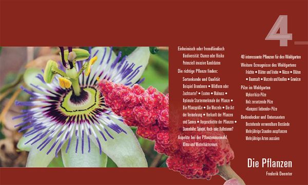 Produktbild: Praxisbuch Waldgarten