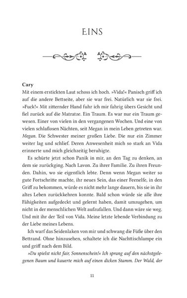 Produktbild: Call it magic 3: Wolfsgeheimnis