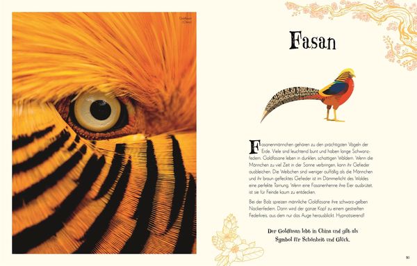 Wundervolle Welt der Tiere