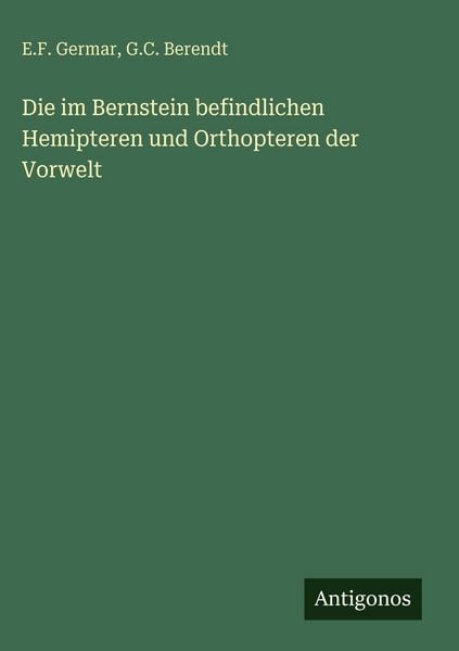 Produktbild: Die im Bernstein befindlichen Hemipteren und Orthopteren der Vorwelt