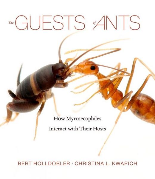 Produktbild: The Guests of Ants