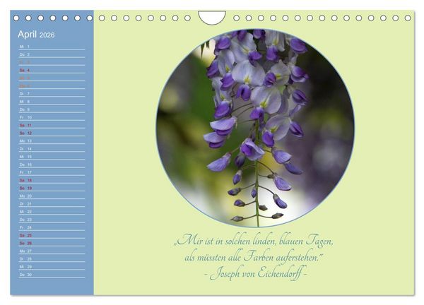 Produktbild: Flora in royalem Blau (Wandkalender 2026 DIN A4 quer), CALVENDO Monatskalender