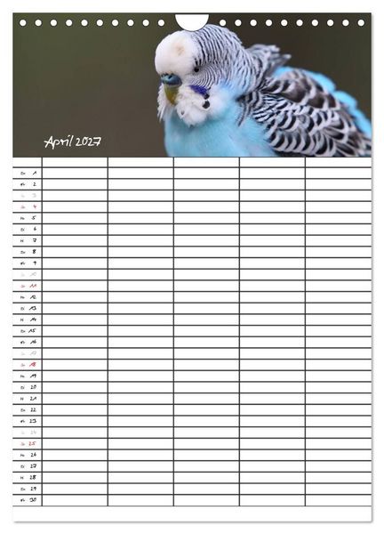 Produktbild: Wellensittiche (Wandkalender 2027 DIN A4 hoch), CALVENDO Monatskalender