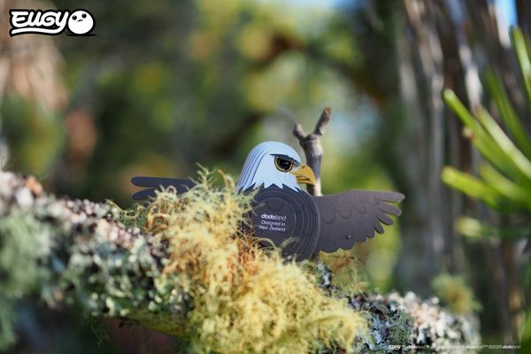 Produktbild: EUGY - 3D Bastelset Weisskopfseeadler