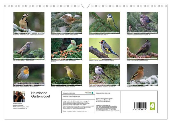 Produktbild: Heimische Gartenv&ouml;gel (Wandkalender 2026 DIN A3 quer), CALVENDO Monatskalender