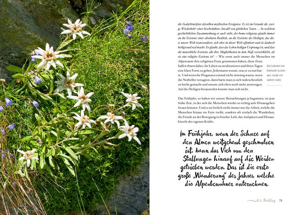 Produktbild: Die Alpenphilosophie