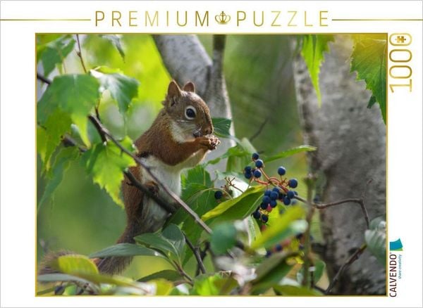 CALVENDO Puzzle Eichhörnchen zwischen Blättern und Beeren | 1000 Teile Lege-Größe 64x48cm Foto-Puzzle für glückliche Stunden
