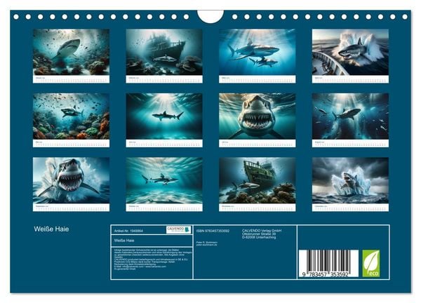 Produktbild: Wei&szlig;e Haie (Wandkalender 2026 DIN A4 quer), CALVENDO Monatskalender