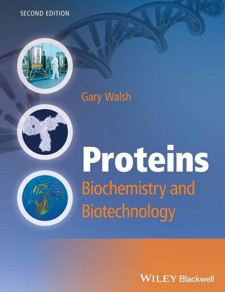 Produktbild: Proteins - Biochemistry and Biotechnology 2e