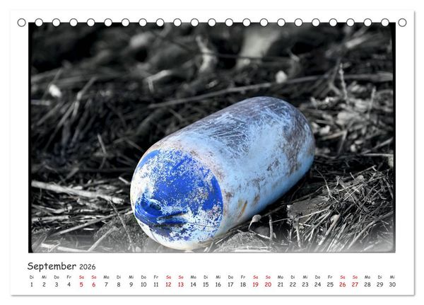 Produktbild: Gestrandet -Treibgut- (Tischkalender 2026 DIN A5 quer), CALVENDO Monatskalender