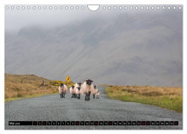 Produktbild: Irland Impressionen S&uuml;dwesten und Westen (Wandkalender 2026 DIN A4 quer), CALVENDO Monatskalender