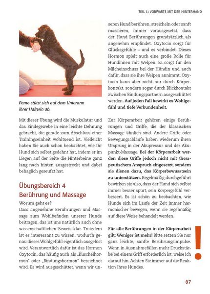 Produktbild: K&ouml;rperarbeit mit dem Hund