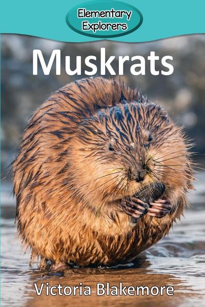 Produktbild: Muskrats