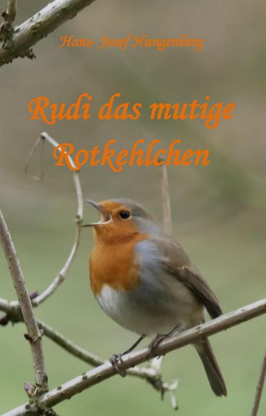 Produktbild: Rudi das mutige Rotkehlchen