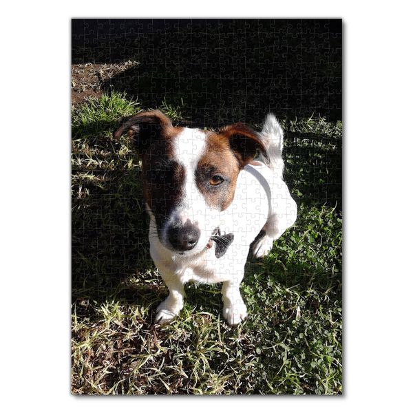 Produktbild: Lais Puzzle Foxterrier 500 Teile
