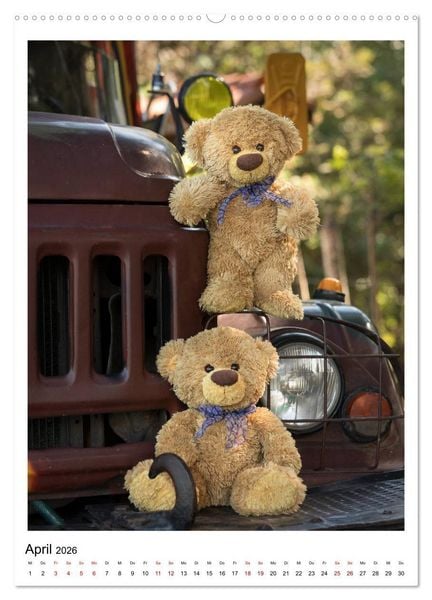 Produktbild: Travelling Teddy Kuba Edition 2026 (Wandkalender 2026 DIN A2 hoch), CALVENDO Monatskalender