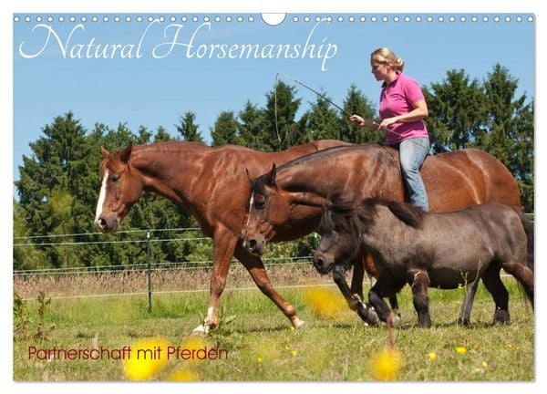 Produktbild: Natural Horsemanship - Partnerschaft mit Pferden (Wandkalender 2026 DIN A3 quer), CALVENDO Monatskalender