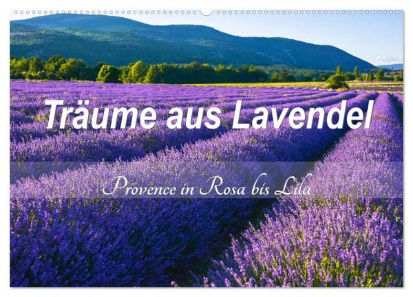 Träume aus Lavendel, Provence in Rosa bis Lila (Wandkalender 2026 DIN A2 quer), CALVENDO Monatskalender