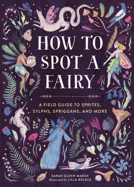 Produktbild: How to Spot a Fairy