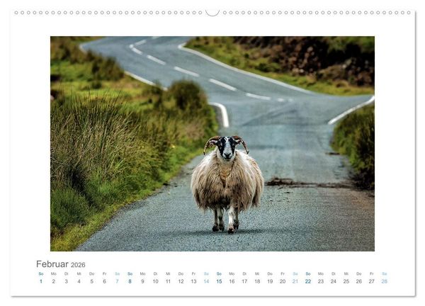 Produktbild: Street Moments (hochwertiger Premium Wandkalender 2026 DIN A2 quer), Kunstdruck in Hochglanz