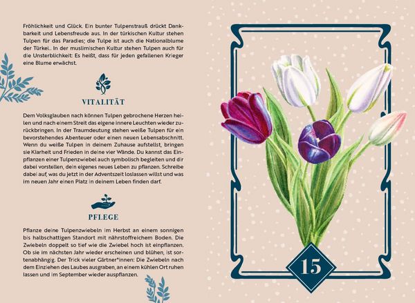 Produktbild: Adventskalender-Kartenset: Bl&uuml;tenwunder