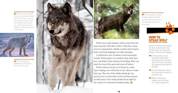 Produktbild: Face to Face with Wolves