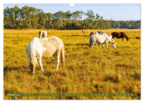 Produktbild: Virginia. Amerikanische Sch&ouml;nheit zwischen K&uuml;ste und Bergen (Wandkalender 2026 DIN A3 quer), CALVENDO Monatskalender