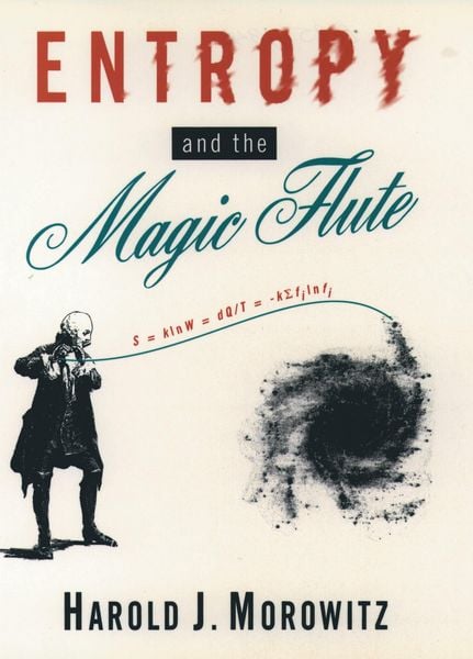 Produktbild: Entropy and the Magic Flute