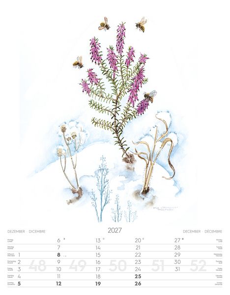 Produktbild: Alpenblumen-Aquarelle Kalender 2027