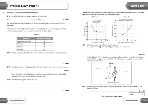 Produktbild: AQA GCSE 9-1 Biology Workbook