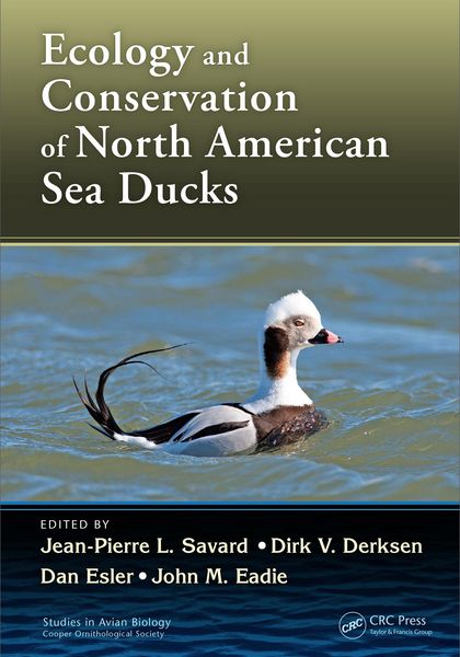 Produktbild: Ecology and Conservation of North American Sea Ducks