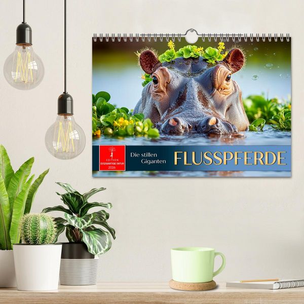 Produktbild: Flusspferde - die stillen Giganten (Wandkalender 2026 DIN A4 quer), CALVENDO Monatskalender