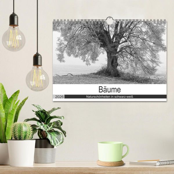 Produktbild: B&auml;ume - Natursch&ouml;nheiten in schwarz-wei&szlig; (Wandkalender 2026 DIN A4 quer), CALVENDO Monatskalender