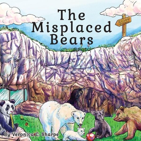 Produktbild: The Misplaced Bears