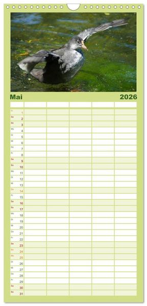 Produktbild: Familienplaner 2026 - Duck Power mit 5 Spalten (Wandkalender, 21 x 45 cm) CALVENDO