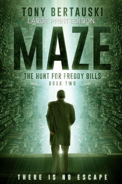 Produktbild: Maze (Large Print Edition)
