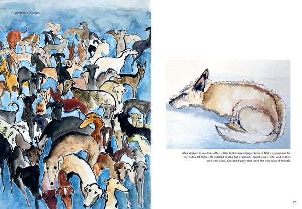 Produktbild: Rescue Dogs Hb