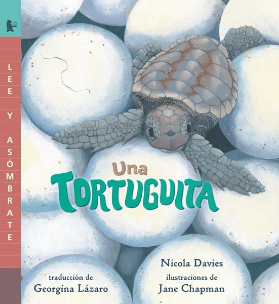 Produktbild: Una Tortuguita