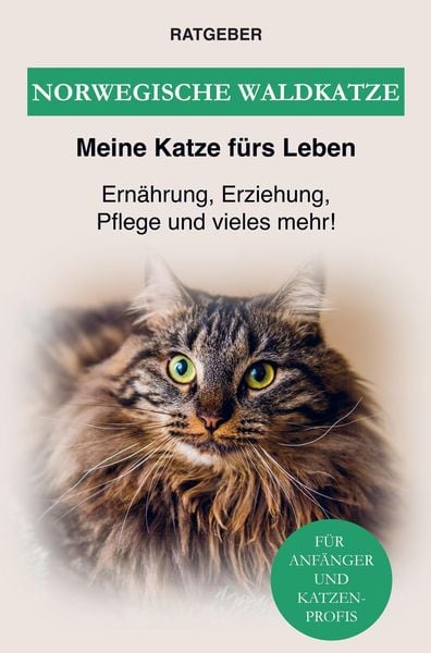 Norwegische Waldkatze, Taschenbuch von Ratgeber Meine Katze fürs Leben, Bookmundo Direct, 9789403622125