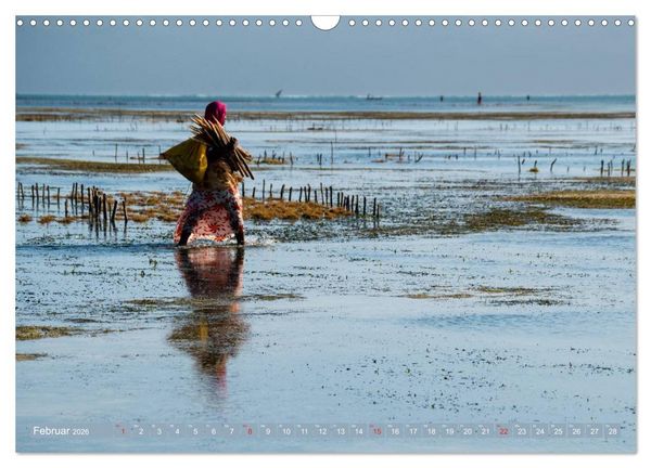 Produktbild: Sansibar - Impressionen von Rolf Dietz (Wandkalender 2026 DIN A3 quer), CALVENDO Monatskalender